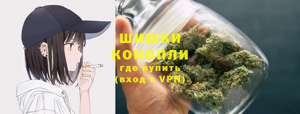 ПСИЛОЦИБИНОВЫЕ ГРИБЫ Баксан