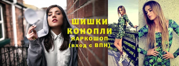 ПСИЛОЦИБИНОВЫЕ ГРИБЫ Баксан