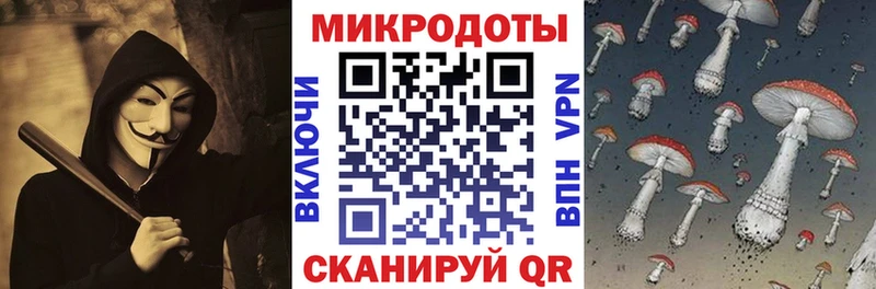 Галлюциногенные грибы GOLDEN TEACHER  цены наркотик  Ахтубинск 