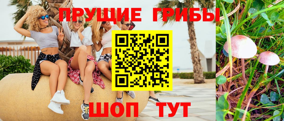 Галлюциногенные грибы мицелий  Вход с VPN  Галлюциногенные грибы Psilocybine cubensis  Ахтубинск 