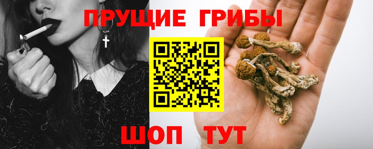 Галлюциногенные грибы Magic Shrooms Ахтубинск